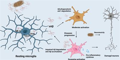 Frontiers | Microglia In The Neuroinflammatory Pathogenesis Of ...